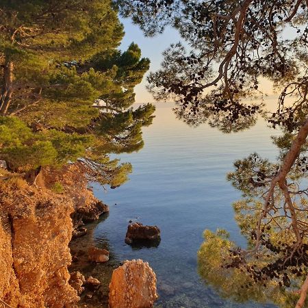 Apartment Miskovic Makarska Exteriör bild