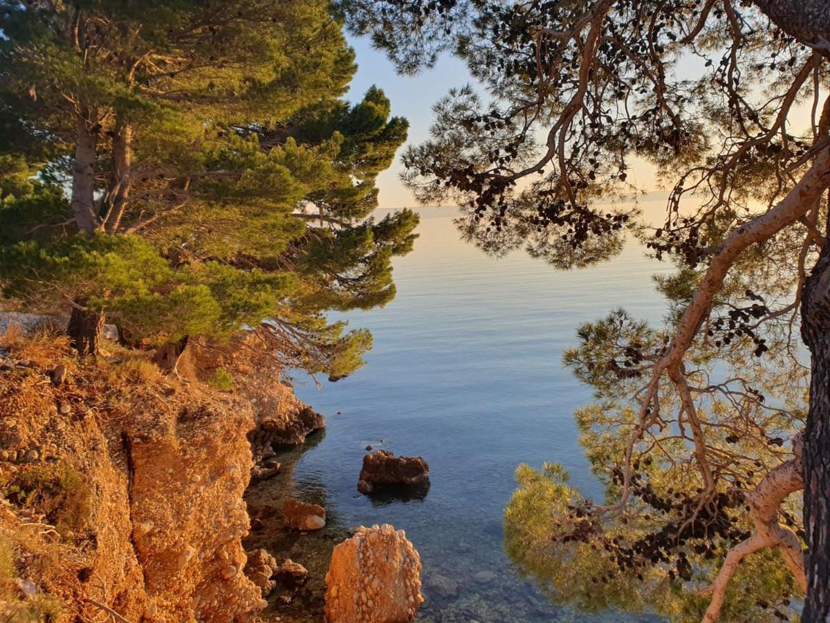 Apartment Miskovic Makarska Exteriör bild