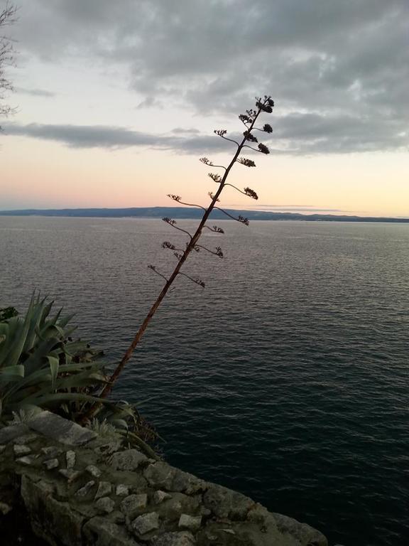 Apartment Miskovic Makarska Exteriör bild